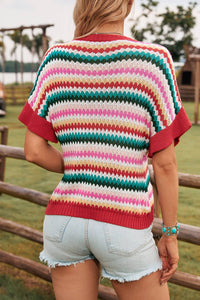 Thumbnail for Trimmed Ruffle Sleeve Colorful Textured Sweater