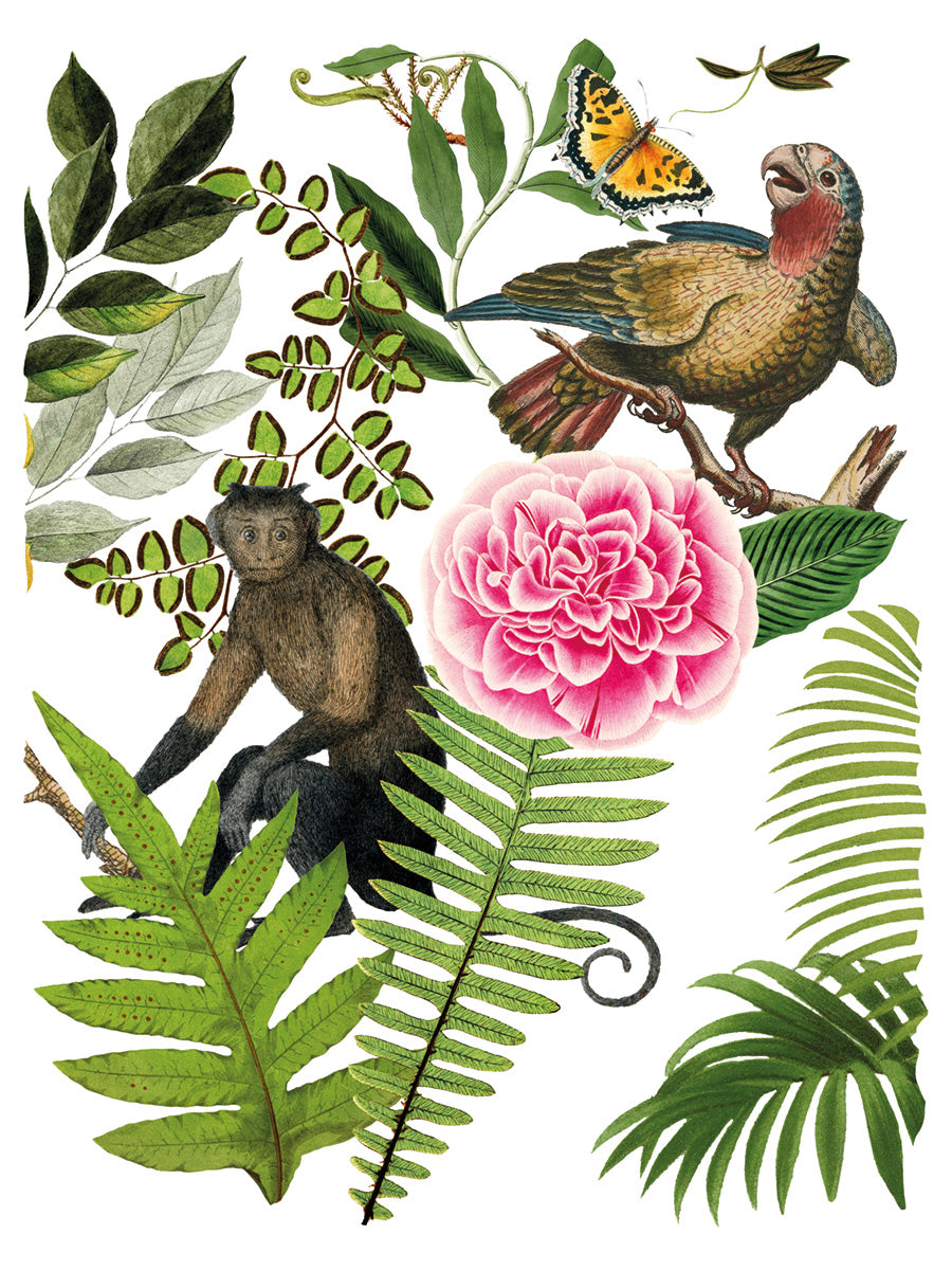 Bungalow IOD Transfer 12x16 Pad™ -Iron Orchid Designs