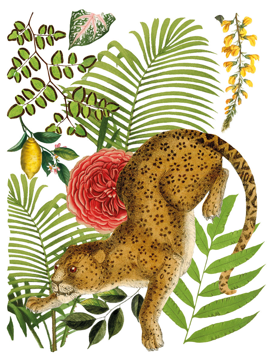 Bungalow IOD Transfer 12x16 Pad™ -Iron Orchid Designs