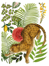 Thumbnail for Bungalow IOD Transfer 12x16 Pad™ -Iron Orchid Designs