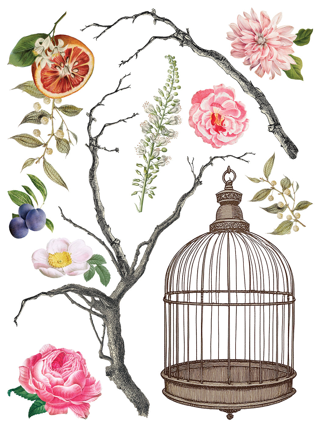 Menagerie IOD Transfer 12x16 Pad™ New Release Q2 Summer