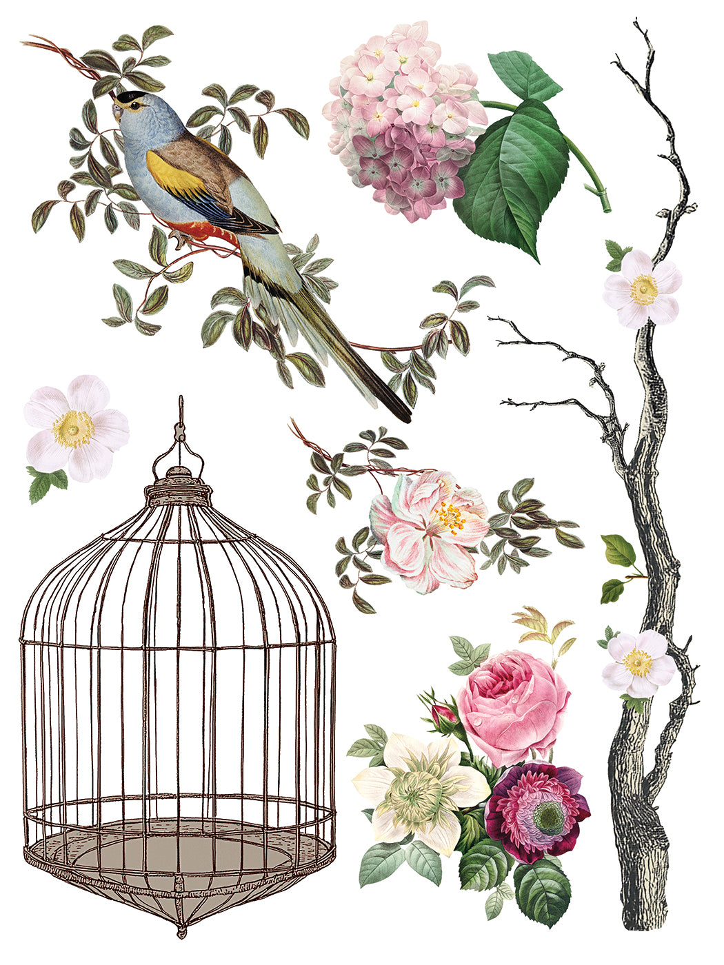 Menagerie IOD Transfer 12x16 Pad™ New Release Q2 Summer