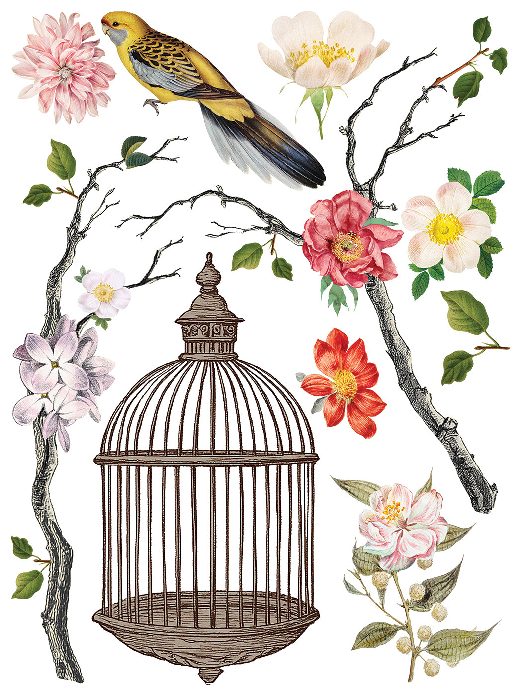 Menagerie IOD Transfer 12x16 Pad™ New Release Q2 Summer
