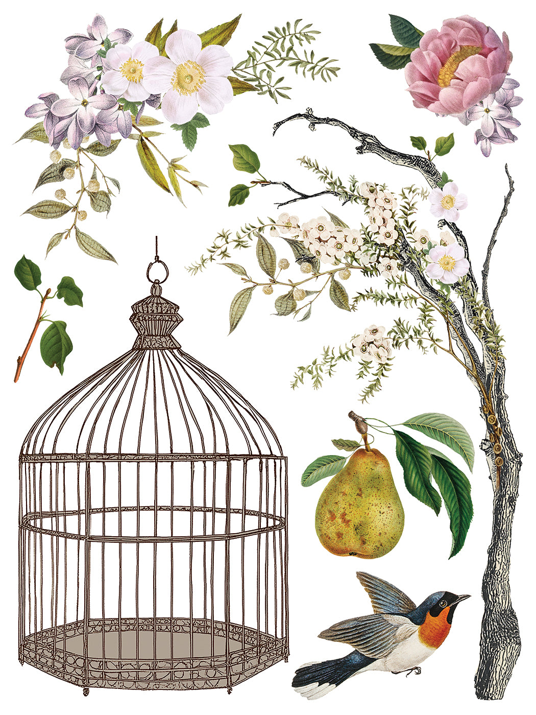 Menagerie IOD Transfer 12x16 Pad™ New Release Q2 Summer