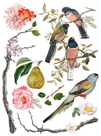 Thumbnail for Menagerie IOD Transfer 12x16 Pad™ New Release Q2 Summer
