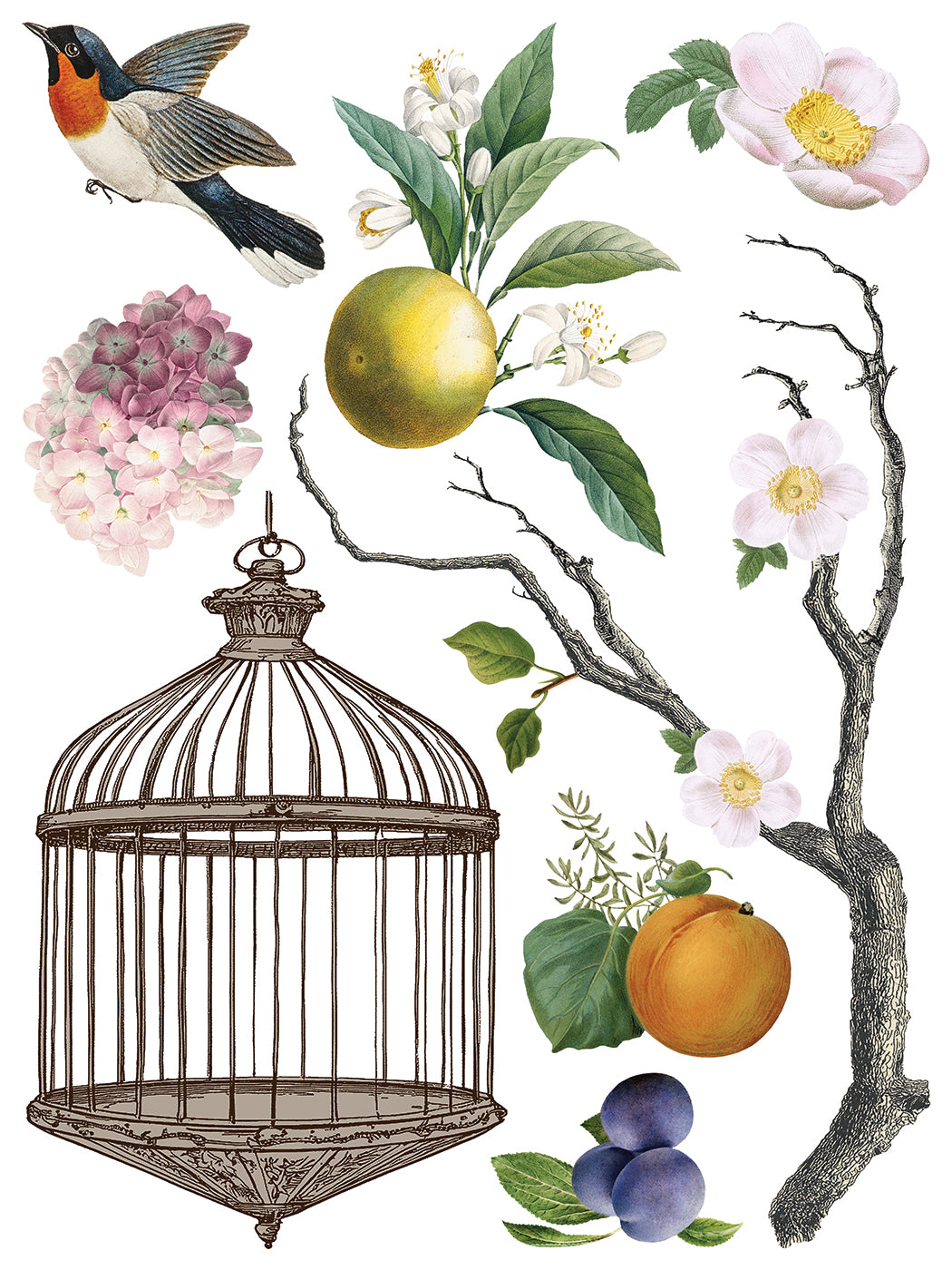 Menagerie IOD Transfer 12x16 Pad™ New Release Q2 Summer