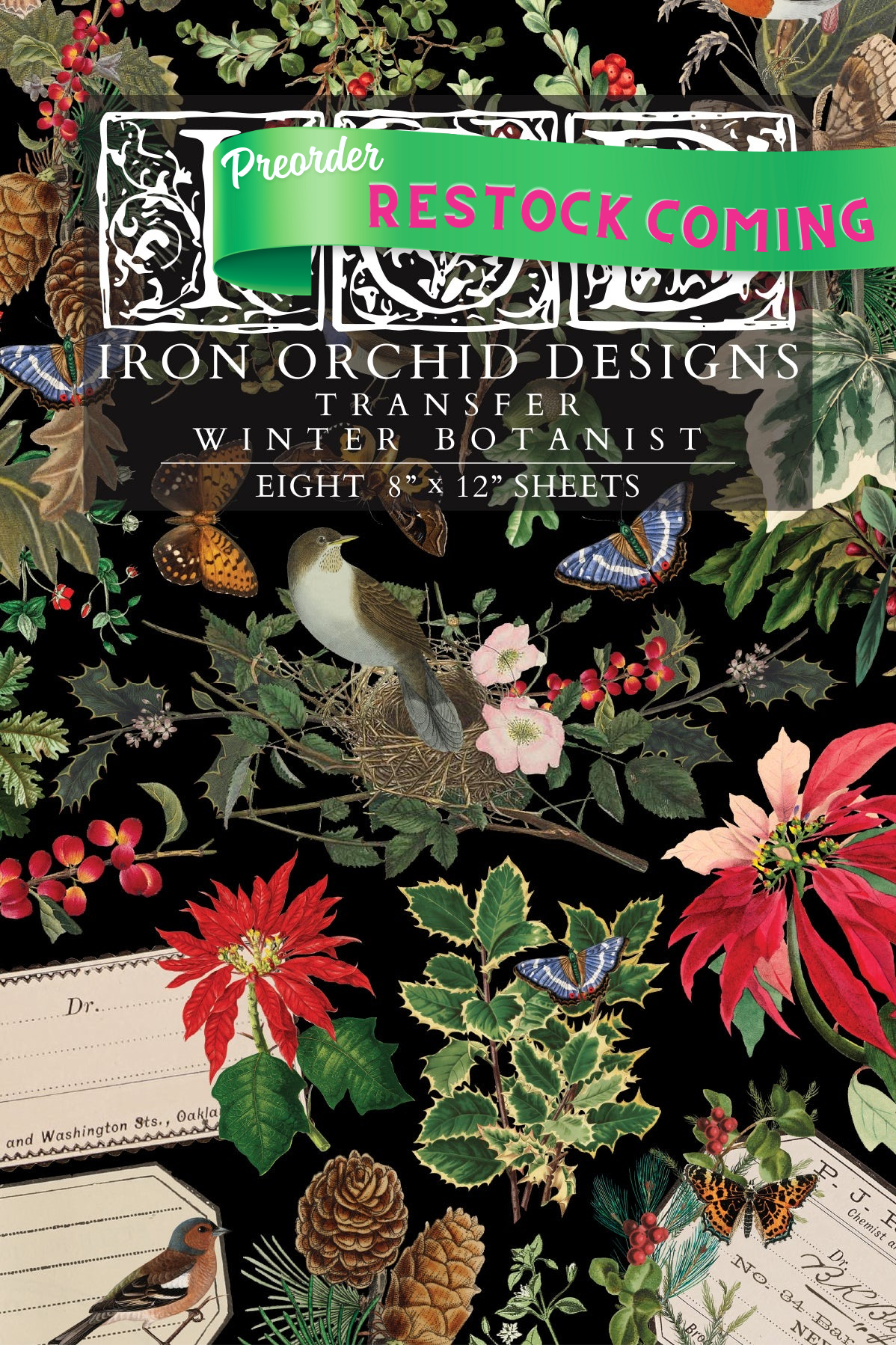 Winter Botanist IOD Transfer 8x12 Pad™-Iron Orchid Designs