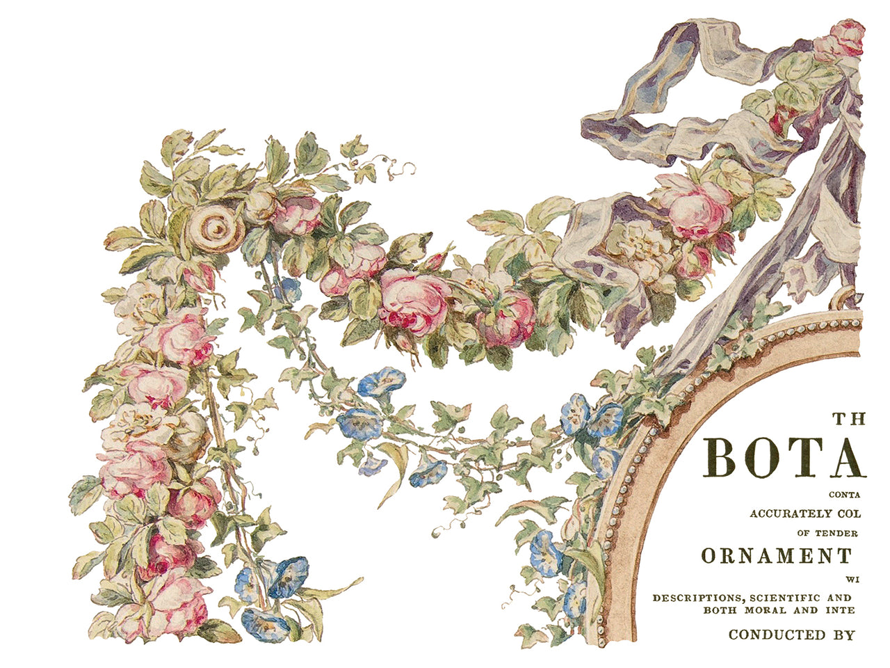 The Botanist IOD Transfer 12x16 Pad™-Iron Orchid Designs