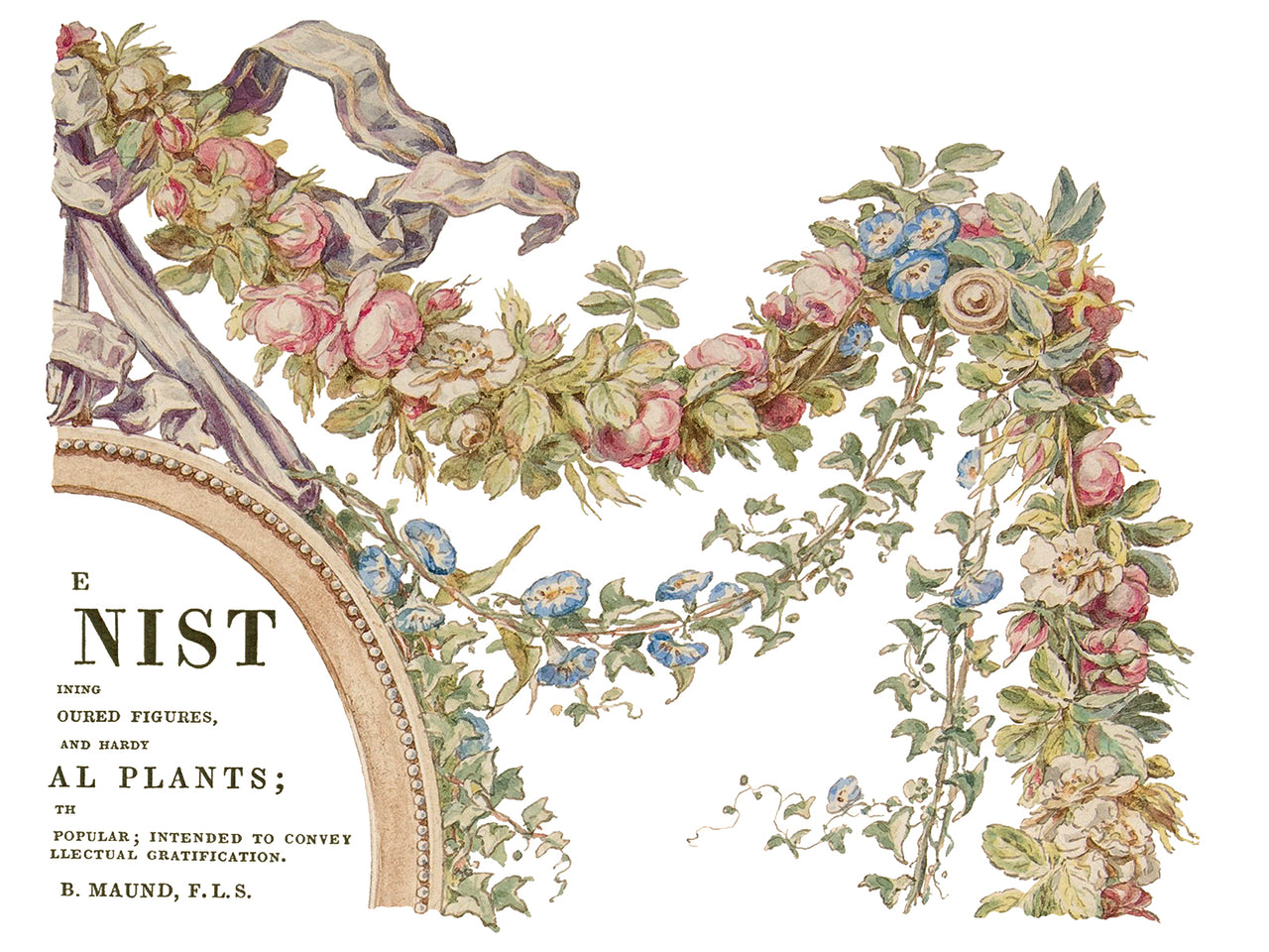 The Botanist IOD Transfer 12x16 Pad™-Iron Orchid Designs
