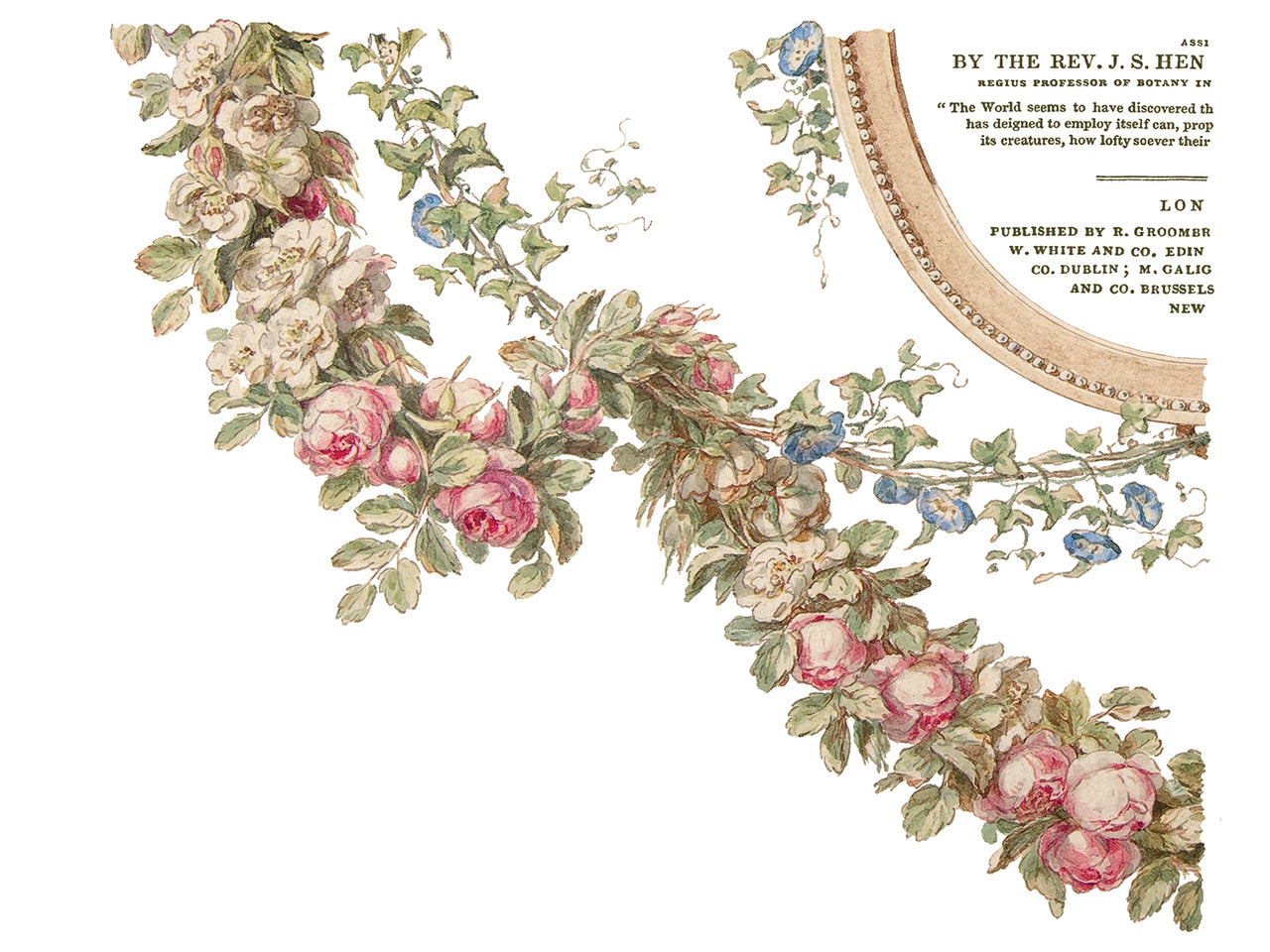 The Botanist IOD Transfer 12x16 Pad™-Iron Orchid Designs