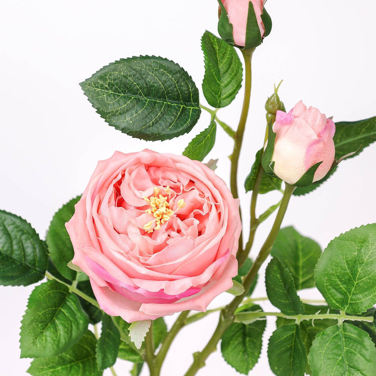 30"Premium Real touch English Austin Cabbage Rose Stem: 30"-Rosegold Pink