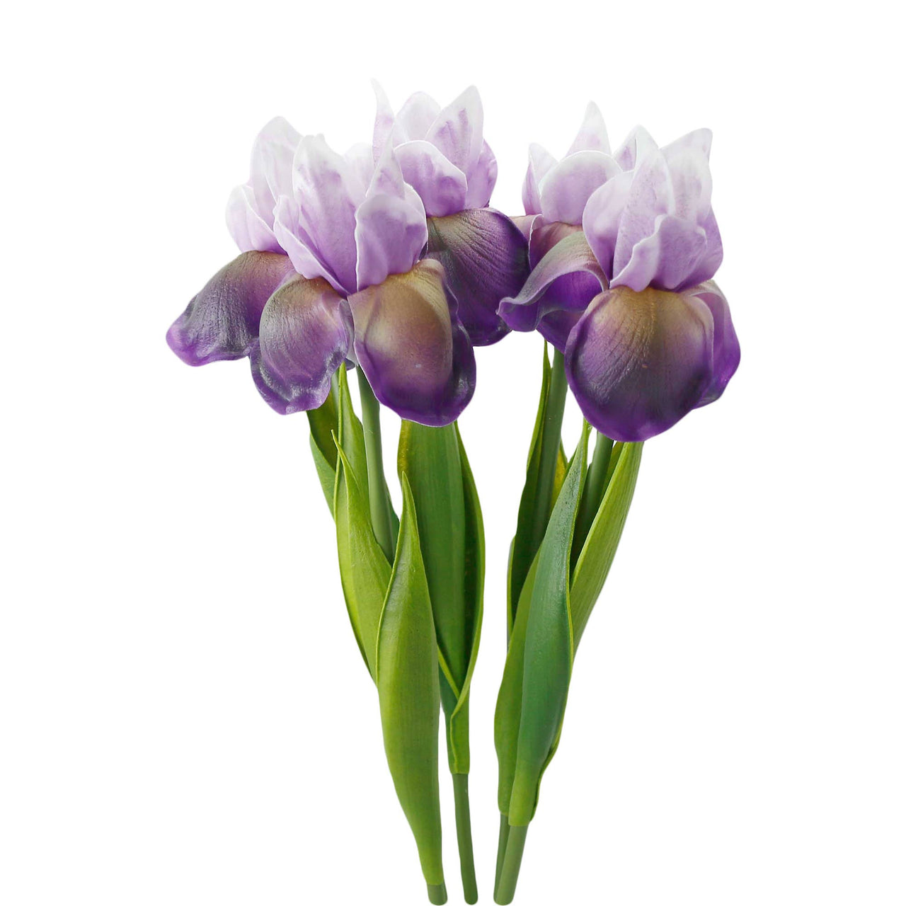 18inch-Real Touch Bearded Iris Stem: Plum