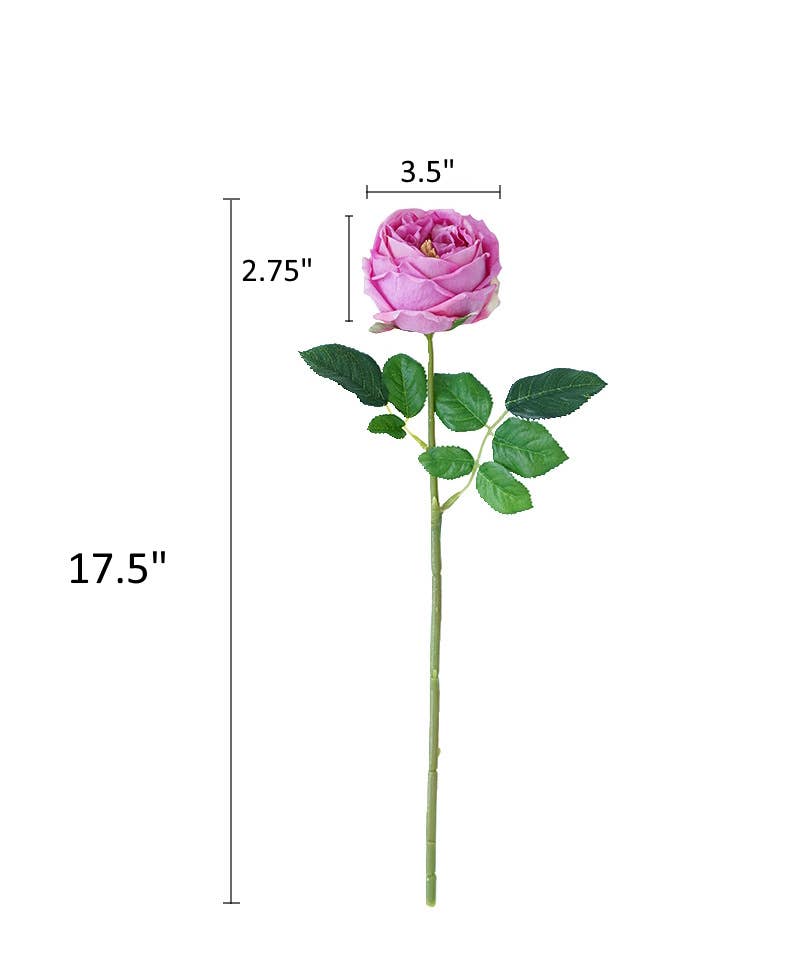 30"Premium Real touch English Austin Cabbage Rose Stem: 30"-Rosegold Pink