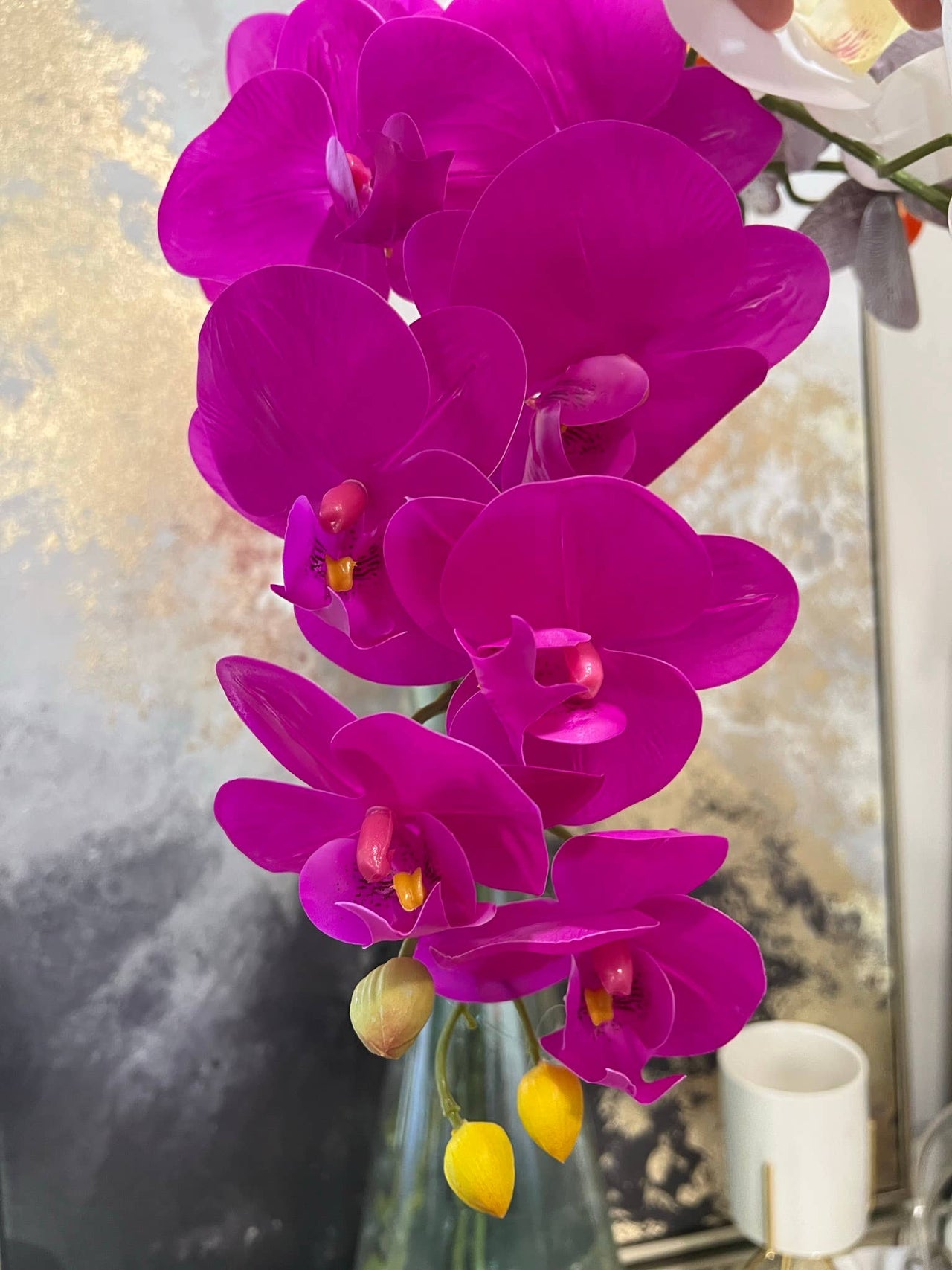 36" Real touch Phalaenopsis Orchid-9 flowers and 3buds: Natural Fuchsia