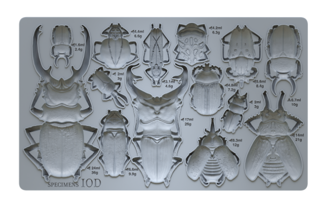 Specimens 6"x10" - IOD Decor Mould™ - Iron Orchid Designs