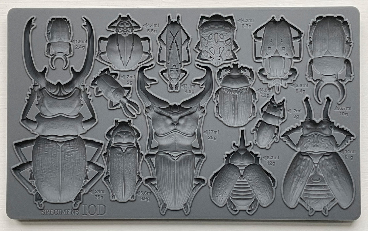 Specimens 6"x10" - IOD Decor Mould™ - Iron Orchid Designs