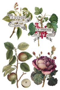 Thumbnail for Clementine IOD Transfer 8x12 Pad™ -Iron Orchid Designs