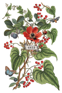 Thumbnail for Clementine IOD Transfer 8x12 Pad™ -Iron Orchid Designs