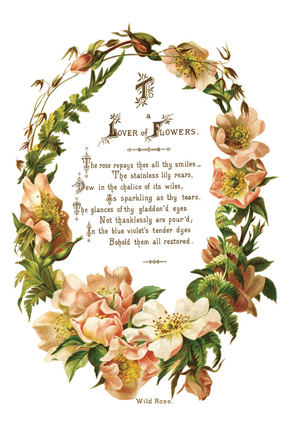 Lover of Flowers IOD Transfer 8x12 Pad-Iron Orchid Designs