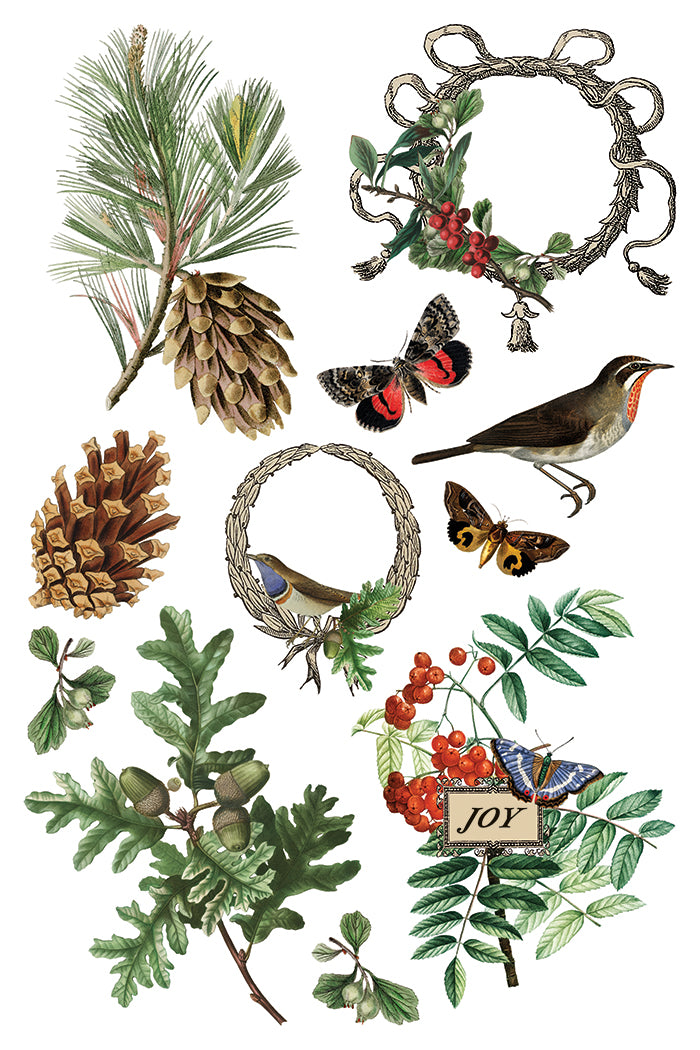 Winter Botanist IOD Transfer 8x12 Pad™-Iron Orchid Designs