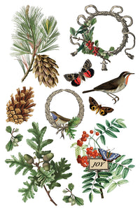 Thumbnail for Winter Botanist IOD Transfer 8x12 Pad™-Iron Orchid Designs