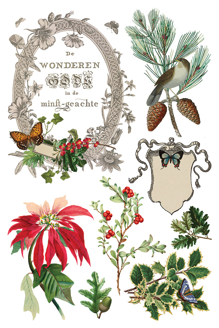 Winter Botanist IOD Transfer 8x12 Pad™-Iron Orchid Designs
