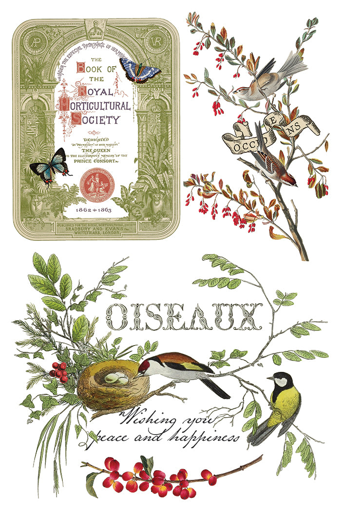 Winter Botanist IOD Transfer 8x12 Pad™-Iron Orchid Designs
