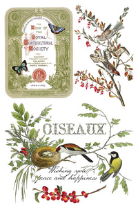 Thumbnail for Winter Botanist IOD Transfer 8x12 Pad™-Iron Orchid Designs