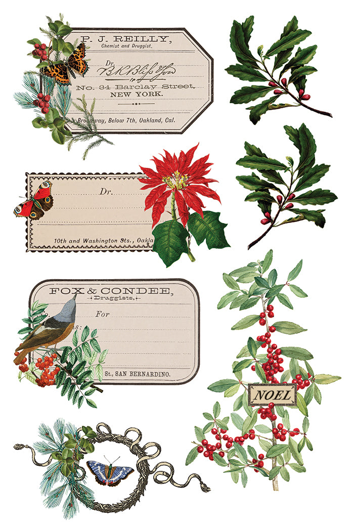 Winter Botanist IOD Transfer 8x12 Pad™-Iron Orchid Designs