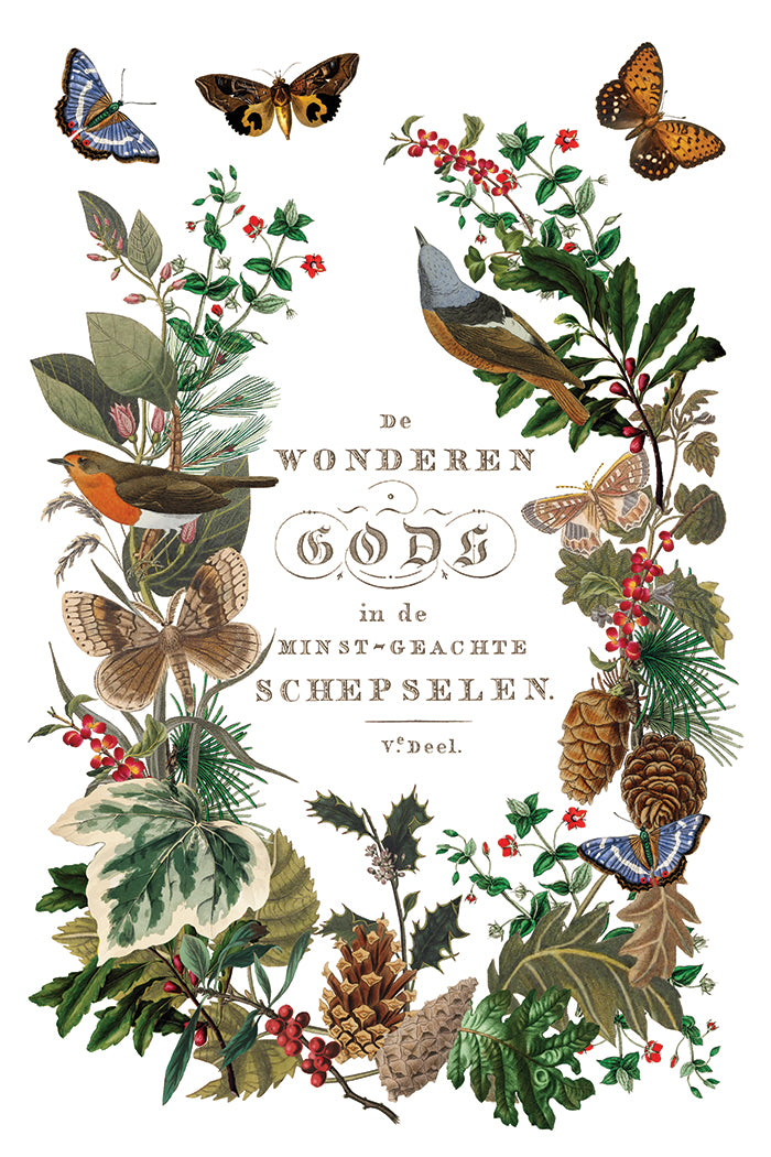 Winter Botanist IOD Transfer 8x12 Pad™-Iron Orchid Designs