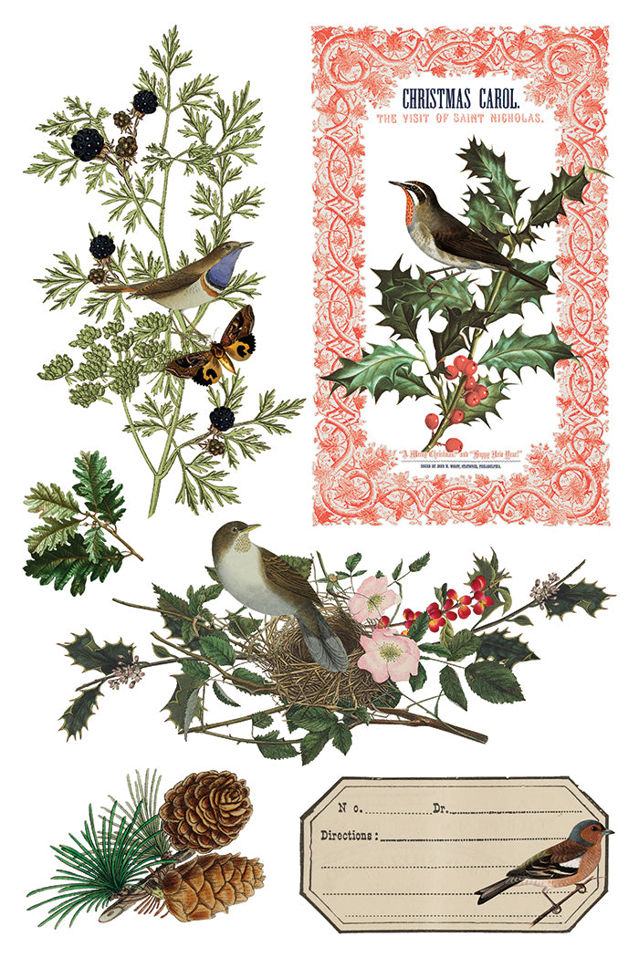 Winter Botanist IOD Transfer 8x12 Pad™-Iron Orchid Designs