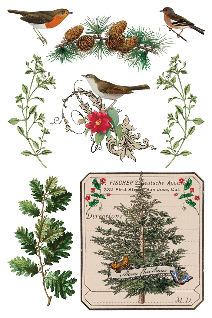 Winter Botanist IOD Transfer 8x12 Pad™-Iron Orchid Designs