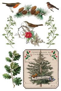 Thumbnail for Winter Botanist IOD Transfer 8x12 Pad™-Iron Orchid Designs
