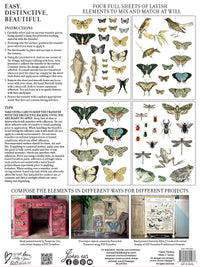 Thumbnail for Entomology Etcetera IOD Transfer 12x16 Pad™-Iron Orchid Designs