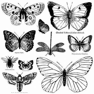 Butterflies 12x12 IOD Stamp