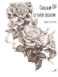 Thumbnail for Mays Roses IOD Transfer 12x16 Pad™ -Iron Orchid Designs