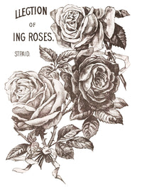 Thumbnail for Mays Roses IOD Transfer 12x16 Pad™ -Iron Orchid Designs