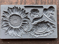 Thumbnail for Sunflowers 6