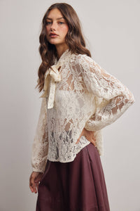 Thumbnail for Sheer Lace Tie Neck Blouse FT0059