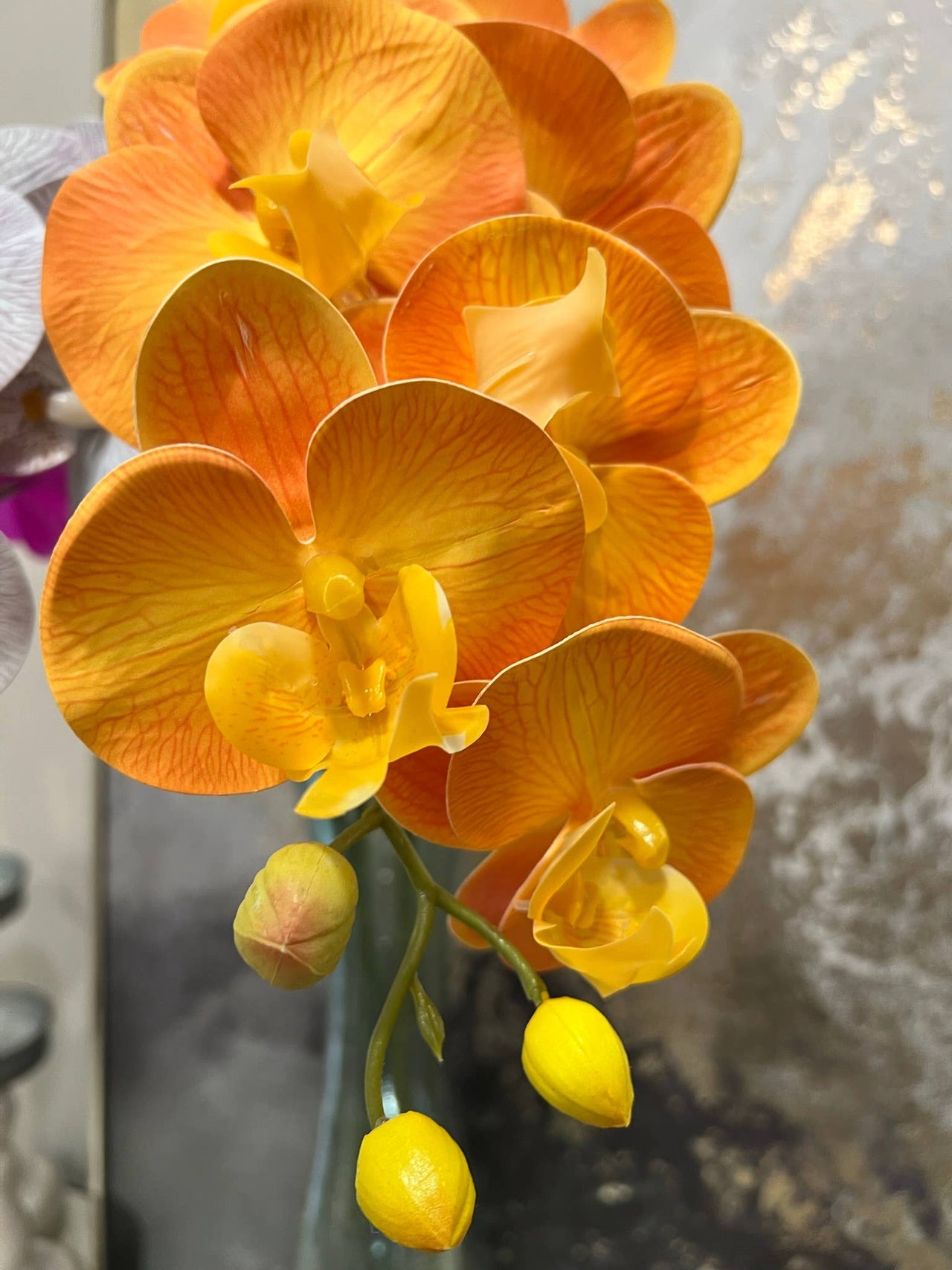 36" Real touch Phalaenopsis Orchid-9 flowers and 3buds: Sunset Orange