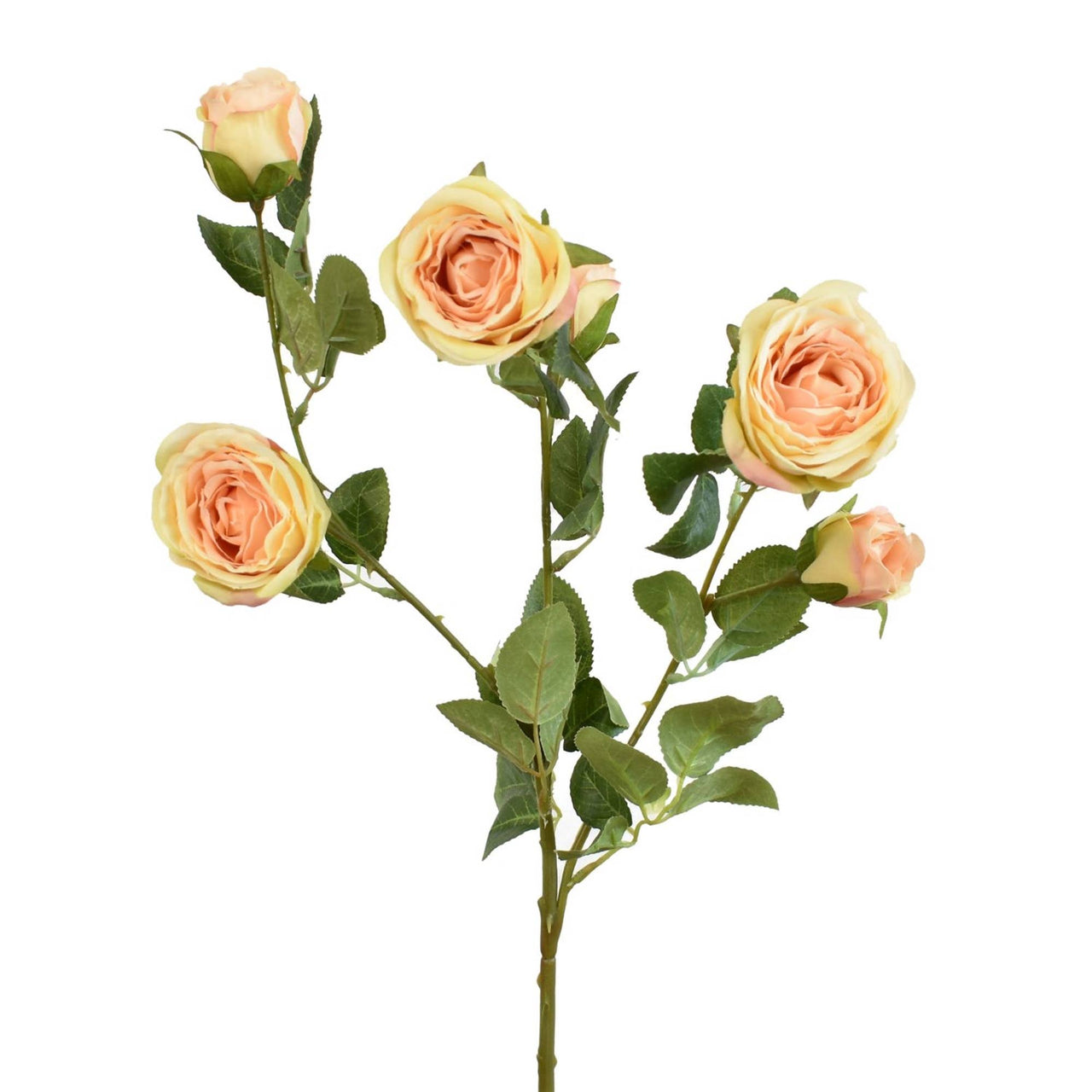 25” Garden Rose Stem x 6 - Peach - Rubbish Restyled