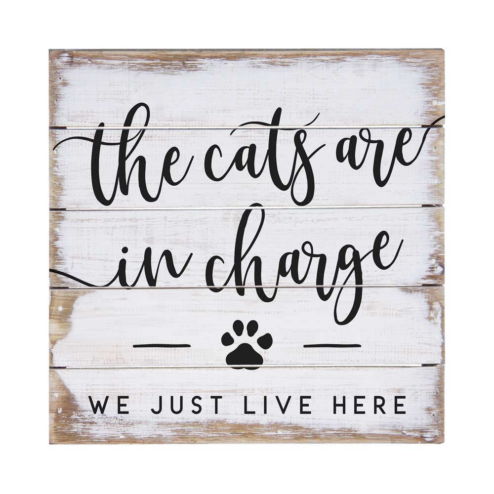 PET2044 - Cats In Charge