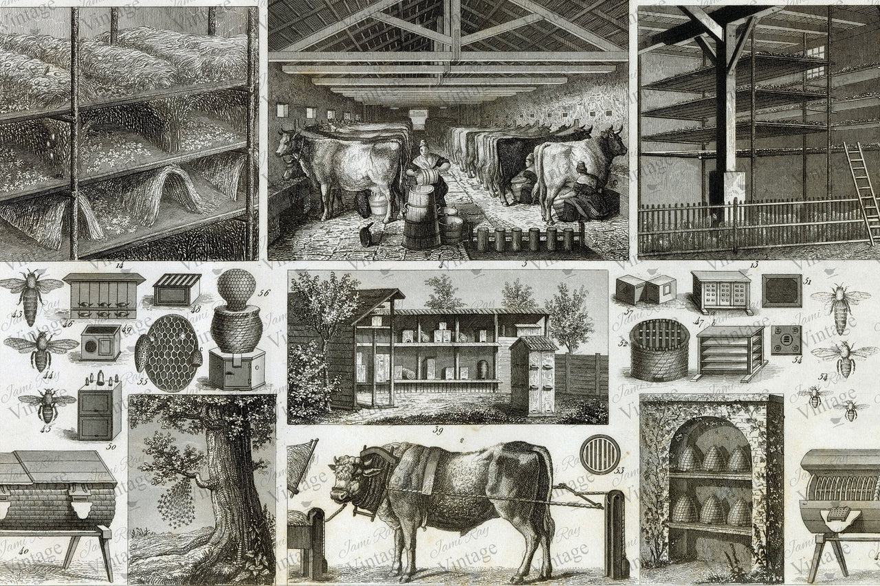 Bees and Barn | Jami Ray Vintage Decoupage Paper - Rubbish Restyled