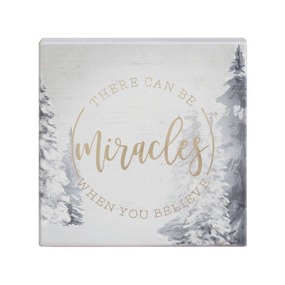 STS1313 - There Can Be Miracles When You Believe