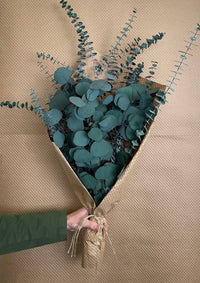 Thumbnail for Silver Dollar & Baby Eucalyptus 8 ounce Preserved Bundle