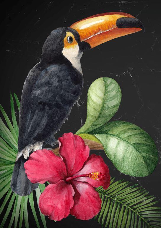 Toucan decoupage paper - Mint By Michelle Decoupage