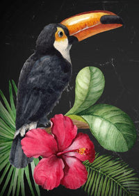 Thumbnail for Toucan decoupage paper - Mint By Michelle Decoupage