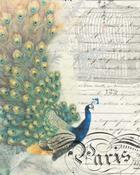 Thumbnail for Peacock Ephemera Left 20