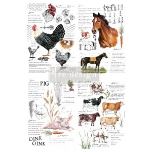 Farm Life 24 x 35" Redesign with Prima Rub on Decal Decor Transfer